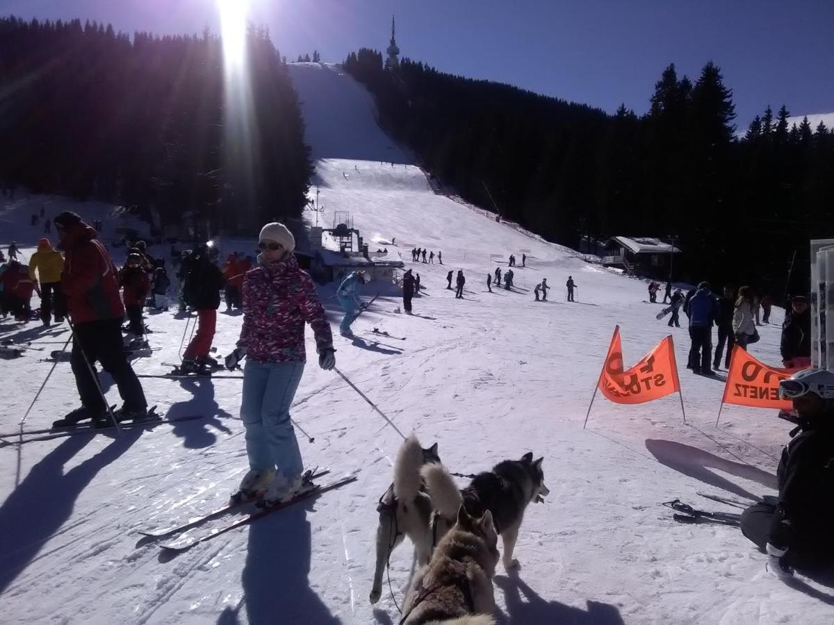 Ski Chalets At Pamporovo - An Affordable Village Holiday For Families Or Groups المظهر الخارجي الصورة